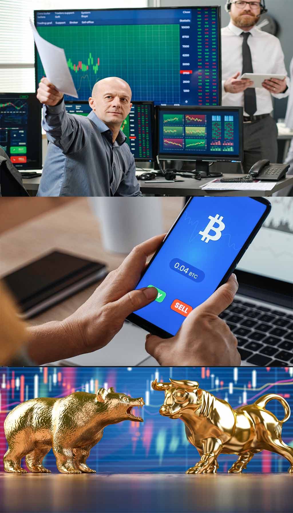 hyip_design_themes HYIP Design Themes