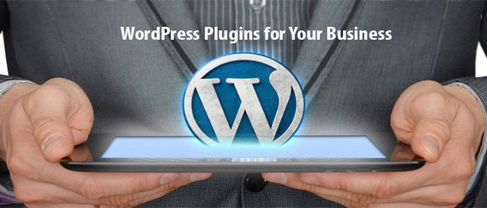 7 Must have WordPress Plugins for Your Business