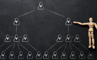 Auto Pool MLM Software